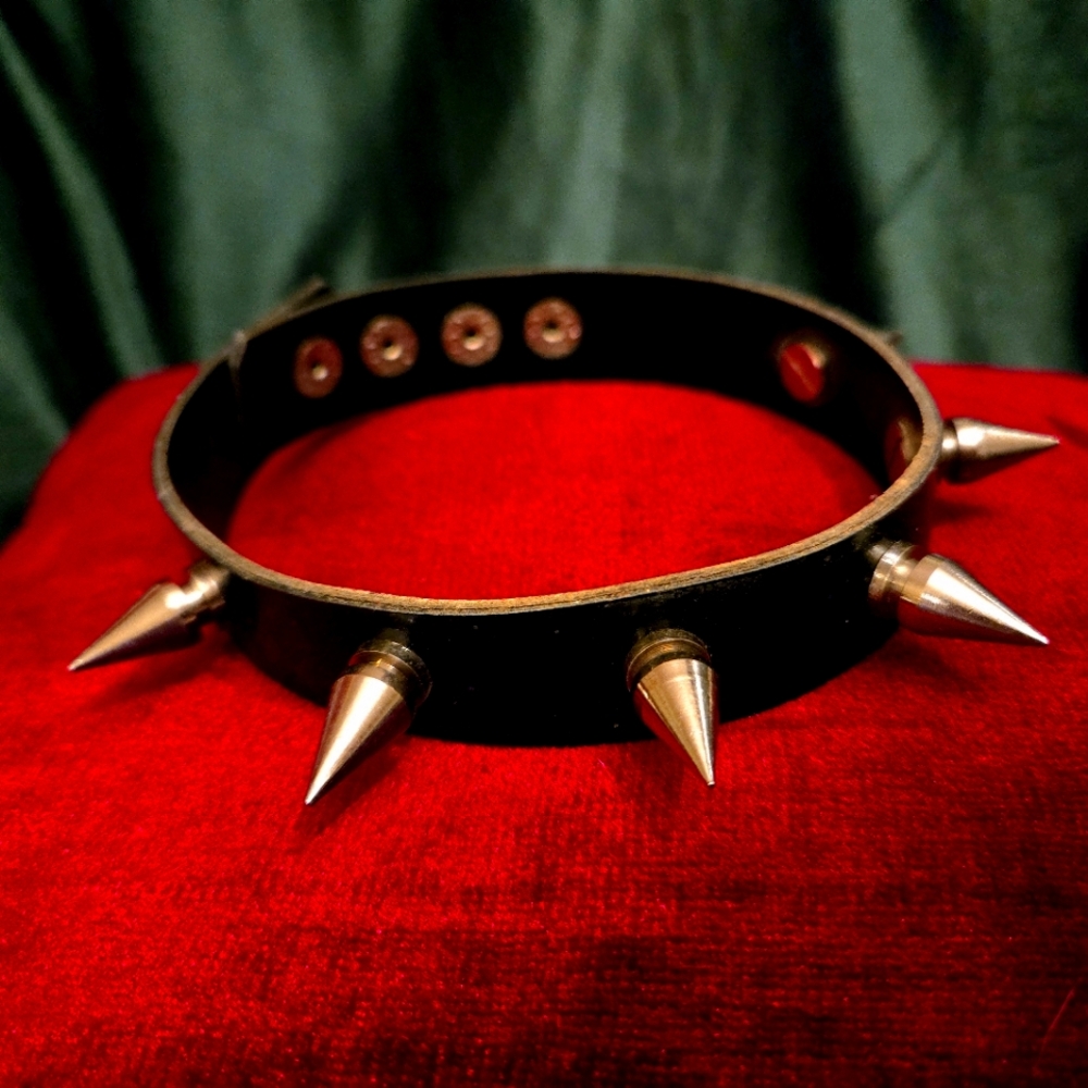 Spiked dog collar